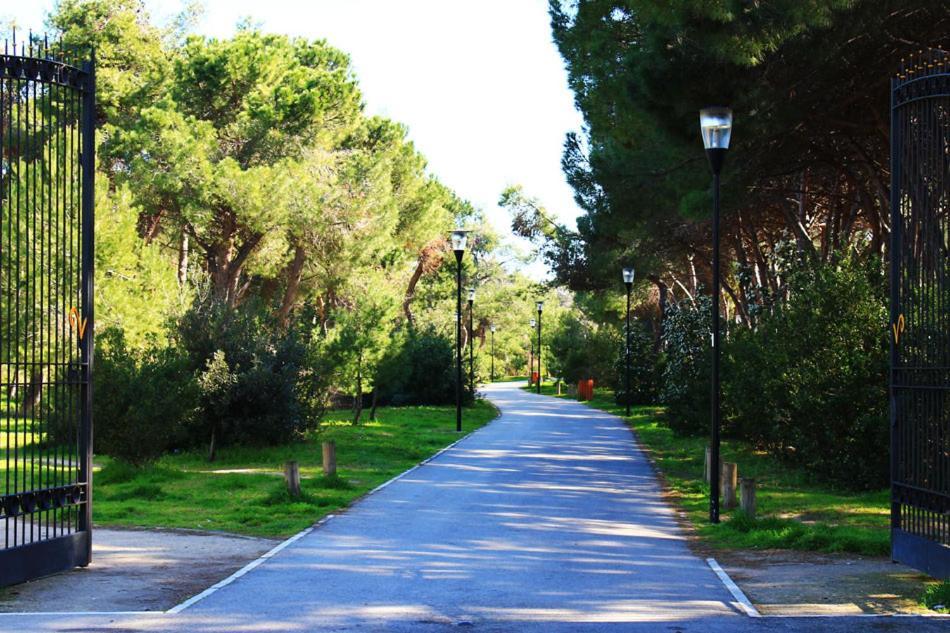 Carducci 83 Bed & Breakfast Pescara Luaran gambar